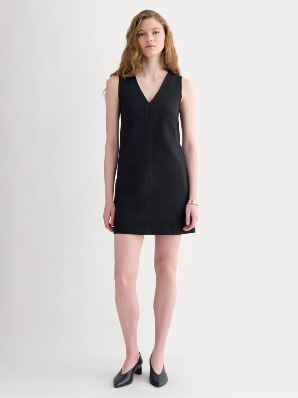 Everlane Sleeveless V-Neck Black Dress